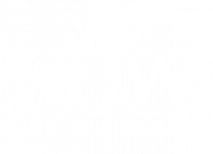 Not only Words speech Therapy